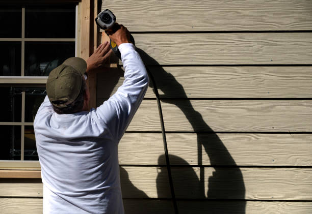 Affordable Siding Repair and Maintenance Services in Lake Odessa, MI